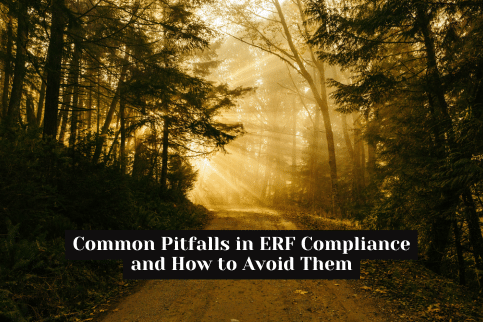 Common Pitfalls in ERF Compliance for Singapore’s Private Education Institutions and How to Avoid Them